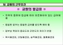 교육 인사 행정 36페이지