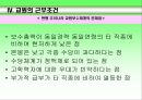 교육 인사 행정 38페이지
