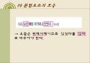 문과 비문법적인 문.PPT자료 18페이지