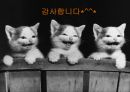 변화법.PPT자료 20페이지