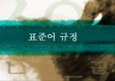 표준어 규정.PPT자료 1페이지