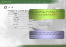 표준어 규정.PPT자료 18페이지