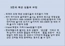 한류(韓流)현상이 중국 신세대 패션에 미친 영향 분석 16페이지