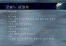 갯벌의 중요성 3페이지
