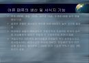 갯벌의 중요성 5페이지