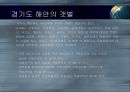 갯벌의 중요성 11페이지