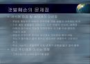 갯벌의 중요성 16페이지