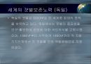 갯벌의 중요성 17페이지