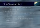 갯벌의 중요성 18페이지