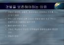 갯벌의 중요성 19페이지