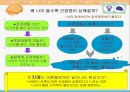 착각하는 뇌 10페이지