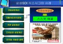 삼성SDI의 식스시그마 14페이지