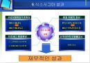 삼성SDI의 식스시그마 18페이지