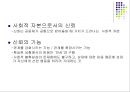 사회의 갈등과 친사회적 행위 36페이지