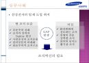 팀제 도입의 성공과 실패  5페이지