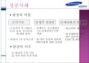 팀제 도입의 성공과 실패  10페이지