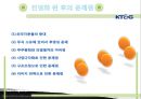 KT&G 민영화  18페이지