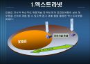 INTEL의 공급사슬관리 - SCM 필요성 17페이지