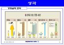 대한항공의 민영화  10페이지