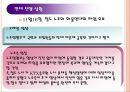 KTX 여승무원 사례 20페이지