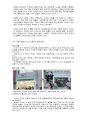 미샤와 페이스샵을 통해본 차별화된 경영전략과 재무분석 42페이지