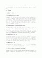 [경영][글로벌스탠다드경영][국제경영][세계경영][국가경영][비즈니스][국제화]글로벌스탠다드경영, 국제경영, 세계경영, 국가경영(경영, 글로벌스탠다드경영, 국제경영, 세계경영, 국가경영, 비즈니스, 국제화) 8페이지