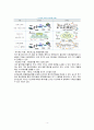 스마트그리드 개념과 추진현황분석및 스마트그리드의 필요성과 기대효과및 스마트그리드의 사회효과분석  5페이지