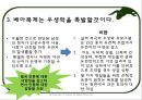 생명윤리-배아(인간)복제 31페이지
