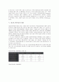 [정보화 시범마을][정보화 시범마을 중요성][정보화 시범마을 추진계획]정보화 시범마을의 특성, 정보화 시범마을의 의의, 정보화 시범마을의 중요성, 정보화 시범마을의 현황, 정보화 시범마을의 추진계획 분석 6페이지