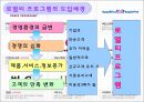 로얄티 프로그램 (LOYALTY PROGRAM) : 로얄티 프로그램 도입배경,사례,로얄티 프로그램 장단점.PPT자료 3페이지