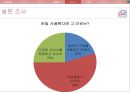 마이피플마케팅전략,마케팅사례,브랜드마케팅,서비스마케팅,글로벌경영,사례분석,swot,stp,4p 9페이지