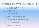 메소포타미아주거문화,메소포타미아지방특징,메소포타미아건축특징,우르시의중정식주택 8페이지