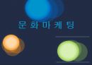 문화마케팅,문화마케팅성공사례,문화마케팅분석,마케팅사례분석 1페이지