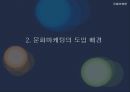 문화마케팅,문화마케팅성공사례,문화마케팅분석,마케팅사례분석 4페이지