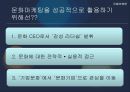 문화마케팅,문화마케팅성공사례,문화마케팅분석,마케팅사례분석 16페이지