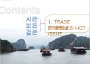 베트남,베트남의한류,한류의문제점,베트남분석 2페이지