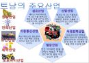 베트남,베트남의한류,한류의문제점,베트남분석 4페이지