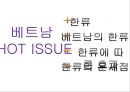 베트남,베트남의한류,한류의문제점,베트남분석 6페이지