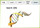 생명공학 발달사.ppt 13페이지