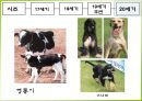생명공학 발달사.ppt 17페이지