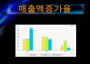 GS칼텍스(지에쓰칼텍스)의 기업분석 및 경영분석 24페이지