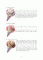 [색체의 이해] 생활 속 색분석 , 베스킨라빈스(배스킨라빈스/Baskin Robbins) 9페이지