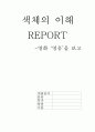 [색체의 이해] 영화  속 색 분석 1페이지