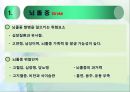 응급처치법 (First Aid) - 12. 갑작스런 질병 (뇌졸중, 당뇨병 , 천식, 실신 발작).ppt 4페이지