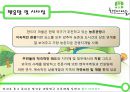 농촌체험마을 한드미 마을 조사, 분석.ppt 36페이지