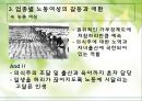 노동여성의 갈등과 애환.PPT자료 17페이지