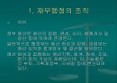 재무행정의 조직과 법적 기초  2페이지