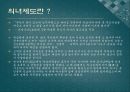과거 여성의 전문직 20페이지