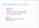 르네상스 시대 도서관에 대하여 (인쇄술의 발달) 11페이지
