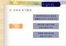 민들레영토  13페이지